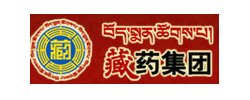 西藏藏药集团股份有限公司